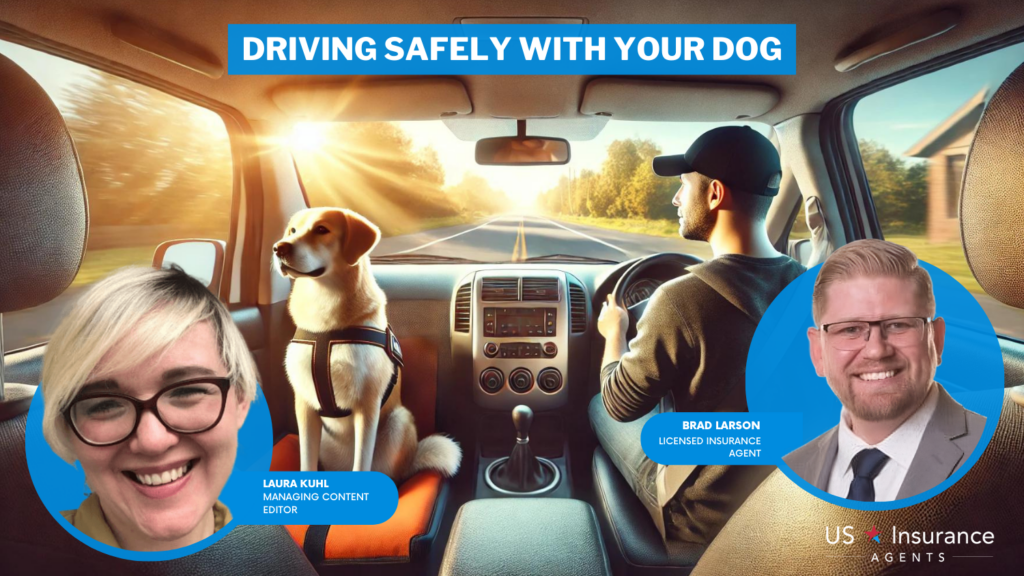 driving safely with your dog