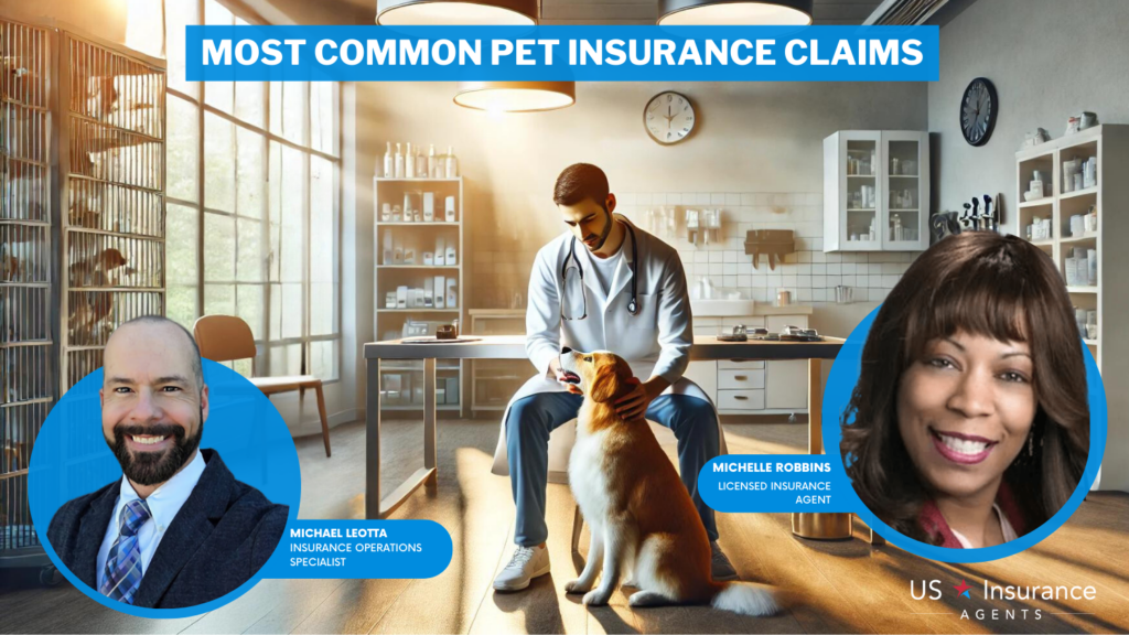 most common pet insurance claims