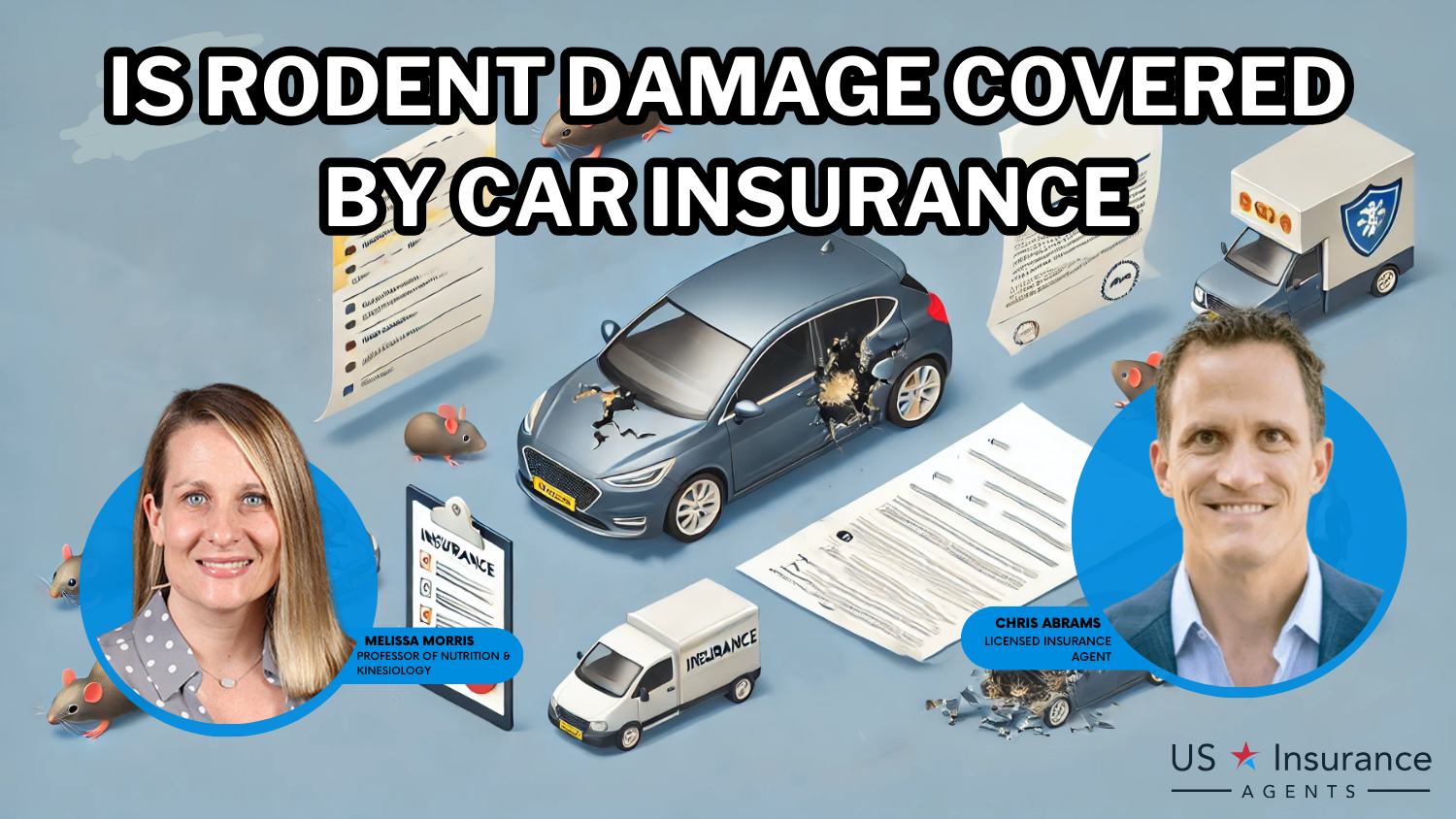 Is rodent damage covered by car insurance?