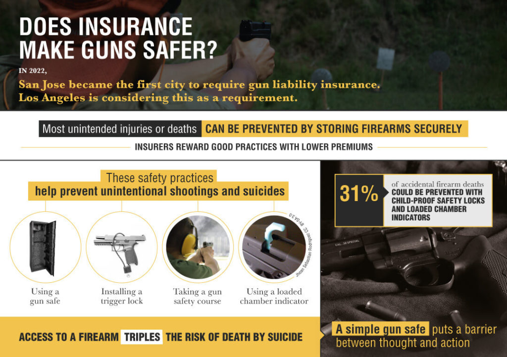 Insurance for gun owners